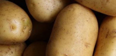 Doherty Potatoes