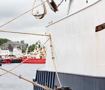 New Marine Engineering Traineeship Developed to meet Industry Skills Needs of Killybegs Blue Economy