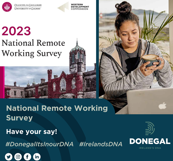 National Remote Working Survey