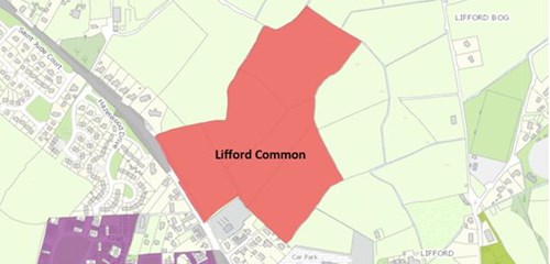 New Development, Lifford Common