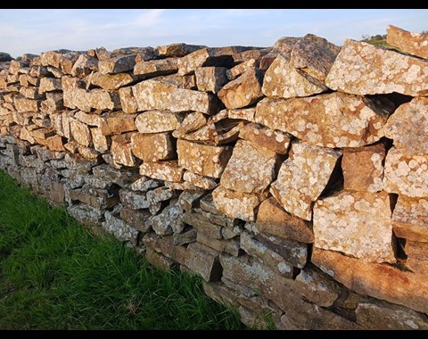 Tir Chonaill Stone Festival