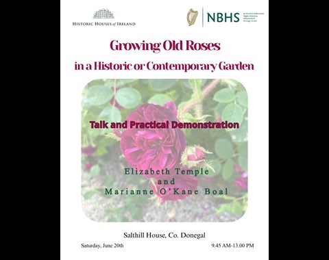 Growing Roses in a Historic or Contemporary Garden