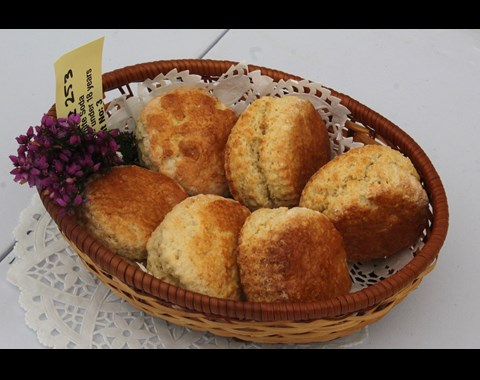 Ardara Show