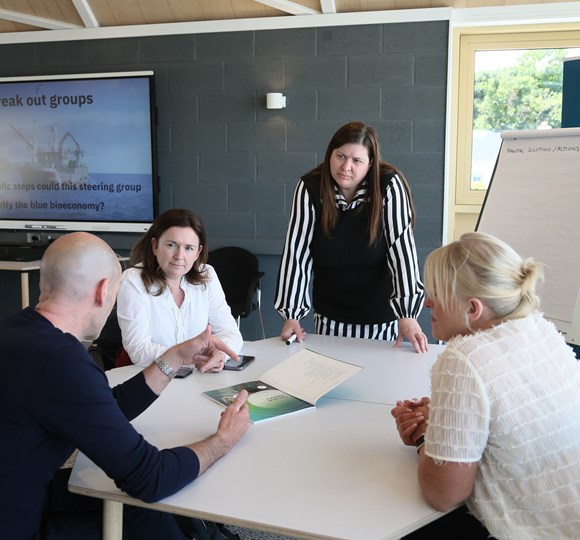 Key Objectives for Donegal Blue Economy Working Group